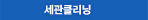 세관클리닝