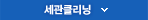 세관클리닝