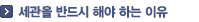 세관을 반드시 해야 하는 이유