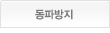 전용색상